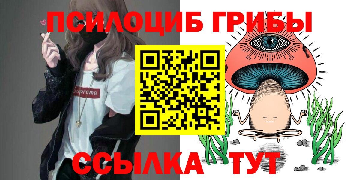 Галлюциногенные грибы Psilocybine cubensis  Псилоцибиновые грибы мицелий  Ярославль  Вход с VPN 