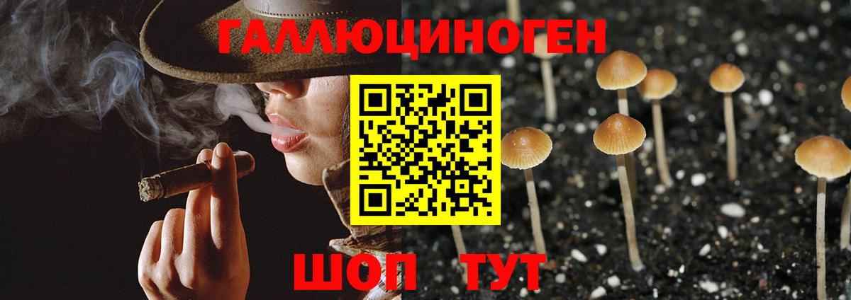 Галлюциногенные грибы ЛСД Ярославль